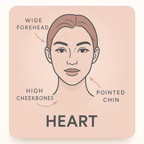 Heart face silhouette with feature labels